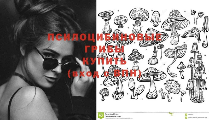 Галлюциногенные грибы Psilocybine cubensis  как найти закладки  Цивильск 