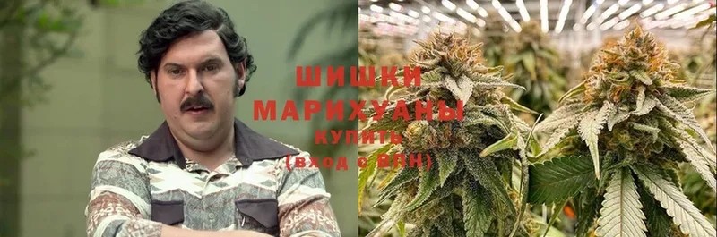 хочу наркоту  Цивильск  Бошки марихуана Ganja 